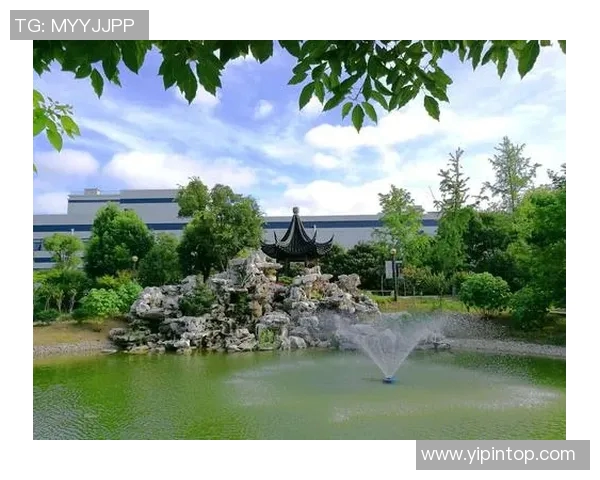 成都排球队的成长之路：从默默无闻到钻石联赛的璀璨之星